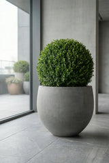 Jumbo Orb Pflanzkübel Grau aus Fiberstone – Kugelform