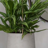 Hanging Patt Grau Blumenampel aus Fiberclay in Beton-Optik – für Innen & Außen