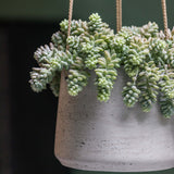 Hanging Patt Grau Blumenampel aus Fiberclay in Beton-Optik || Offenporige Oberfläche