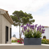 Balcony Balkonkasten Grau aus Fiberstone – Outdoor auf Balkon mit Pflanzen