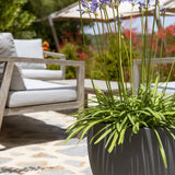 Jesslyn Pflanzkübel Grau aus Fiberstone – Outdoor im Ambiente