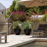 Jesslyn Pflanzkübel Schwarz aus Fiberstone – runder Kübel im Lifestyle-Setting