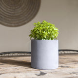 Mini Max Pflanzkübel Grau aus Fiberstone – konisch-hoher Mini-Kübel
