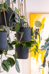 Hanging Charlie Schwarz Blumenampel aus Fiberclay in Beton-Optik || Offenporige Oberfläche