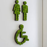 Islandmoos Piktogramm Toilettenrollstuhl Finestgreen