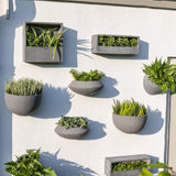Hanging Wally Peter Grau aus Fiberstone – verschiedene Wally-Formen im Vergleich