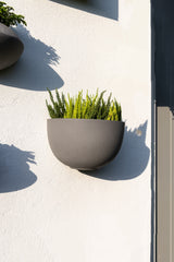 Hanging Wally Peter Wandpflanzschale Grau aus Fiberstone – runde Wandschale im Lifestyle