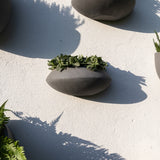 Hanging Wally Mini Tara Wandpflanzschale Grau aus Fiberstone – runde Wandschale im Lifestyle