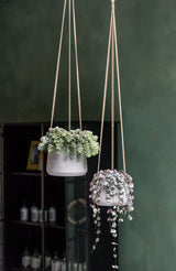 Hanging Patt Grau Blumenampel aus Fiberclay in Beton-Optik || Abgebildete Größen: S & M