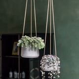 Hanging Patt Grau Blumenampel aus Fiberclay in Beton-Optik || Abgebildete Größen: S & M
