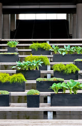 Balcony Balkonkasten Schwarz aus Fiberstone – Outdoor auf Balkon mit Pflanzen