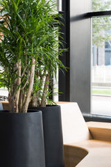 Nax Pflanzkübel Schwarz aus Fiberstone – Lifestyle-Setting mit Bepflanzung
