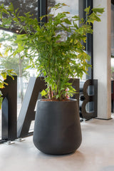 Pax Pflanzkübel Schwarz aus Fiberstone – im Lifestyle-Setting