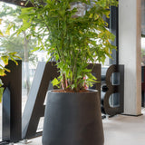 Pax Pflanzkübel Schwarz aus Fiberstone – im Lifestyle-Setting