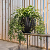 Orb Black Washed Pflanzkübel Schwarz – Lifestyle-Aufnahme