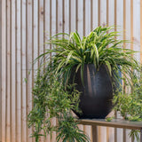 Orb Black Washed – Offenporige Fiberclay-Oberfläche in Beton-Optik