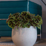Orb Grey Washed – Offenporige Fiberclay-Oberfläche in Beton-Optik || Offenporige Oberfläche