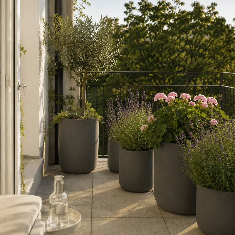 Pflanzen im Urlaub: Was wirklich funktioniert (Balkon, Terrasse & Garten)