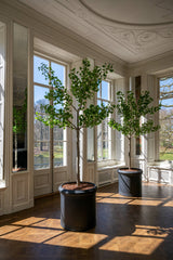 Ginko Biloba Baum Kunstpflanze XL 270cm - Finestgreen