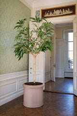 Ficus Alii Baum Kunstpflanze XL 230cm - Finestgreen