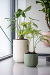 Blumentopf Arcus Salbeigrün aus Fiberglas
