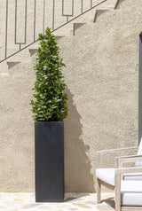 Lorbeer Kunstpflanze L 150cm - Finestgreen