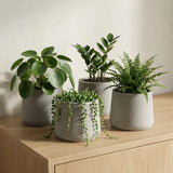 4x Patt Grey Washed Pflanzkübel Grau aus Fiberclay Ø:20 cm || Abgebildete Größen: L Ø:20 x H:16,5 cm