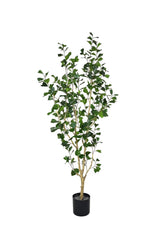 Ficus Triangularis Baum Kunstpflanze L 180cm - Finestgreen