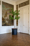 Ginkgo Biloba künstlich, H: 270cm