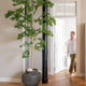 XL: 280cm