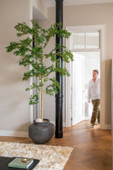 Buchida Bucera Shady Lady Baum Kunstpflanze XL 280cm - Finestgreen
