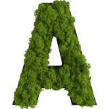 Islandmoos Piktogramm Buchstabe Finestgreen [mc]