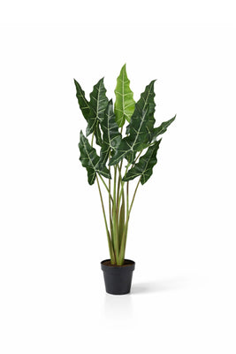 Alocasia Taro künstlich, H: 120cm