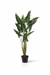 Alocasia Taro künstlich, H: 140cm
