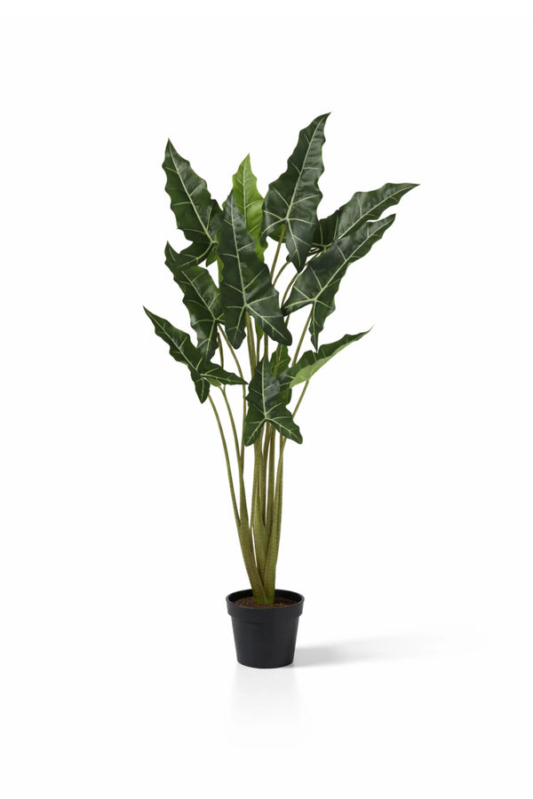 Alocasia Taro künstlich, H: 140cm