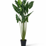 Alocasia Taro Künstlich H: 160cm Finestgreen [mc]