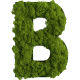 Islandmoos Piktogramm Buchstabe Finestgreen 