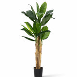 Bananenbaum Künstlich H: 160cm Finestgreen [mc]