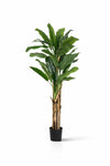 Bananenbaum künstlich, H: 205cm