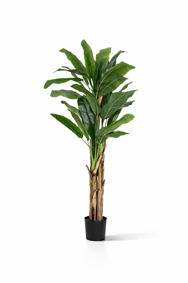 Bananenbaum künstlich, H: 205cm