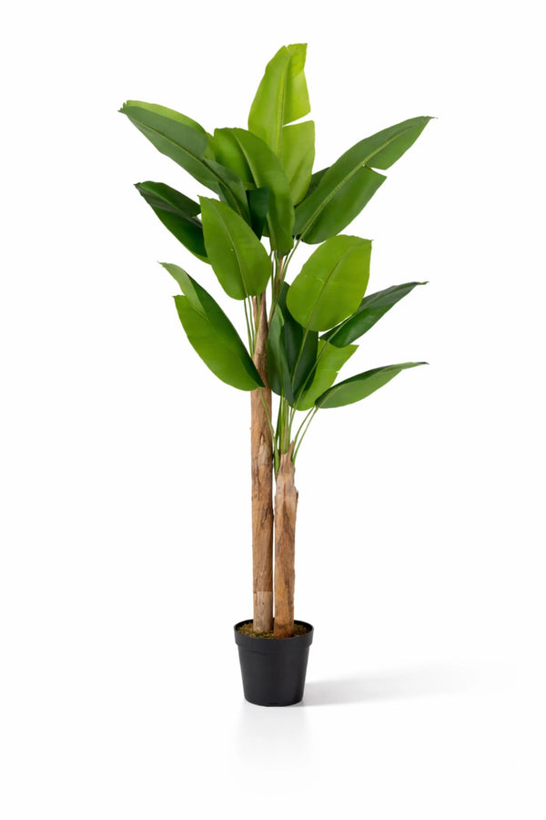Bananenbaum künstlich, H: 220cm