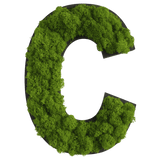 Islandmoos Piktogramm Buchstabe Finestgreen 
