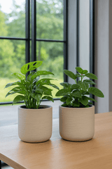 2x Charlie Grey Washed Ø:18 cm – Freisteller Set Produktfoto