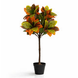 Codiaeum Wunderstrauch Künstlich H: 80cm Finestgreen [mc]