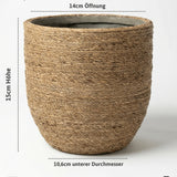 Cody Straw Gras Größe XS [v=XS|ø17|ö14|h15]