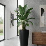 Dax Pflanzkübel Schwarz aus Fiberstone – konisch-hohe Form im Lifestyle-Setting