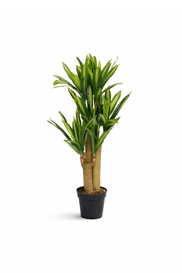 Dracaena Drachenbaum künstlich, H: 120cm