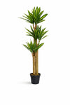 Dracaena Drachenbaum künstlich, H: 180cm