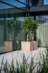 Block Pflanzkübel Taupe aus Fiberstone – Detailansicht der Oberfläche