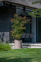Max Pflanzkübel Taupe aus Fiberstone – im Lifestyle-Setting